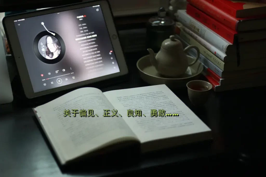 《杀死一只知更鸟》读后感