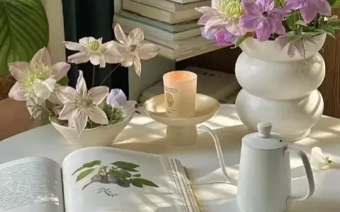 那些干净又简短的优美文案
