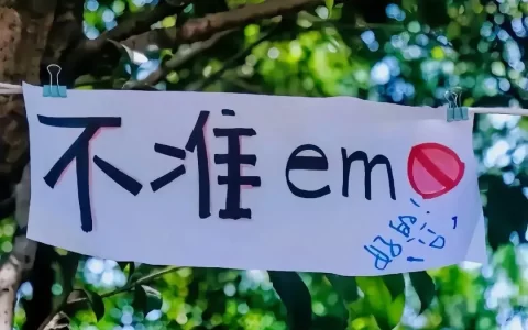 一看就很哇塞的文案