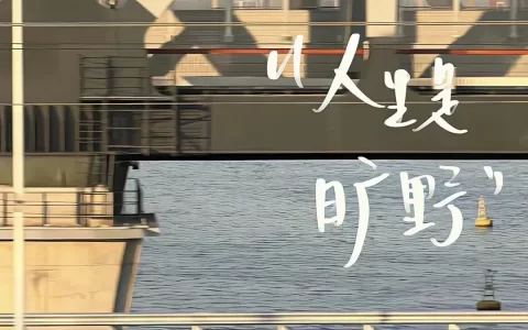 文案｜我的人生是旷野 不是轨道