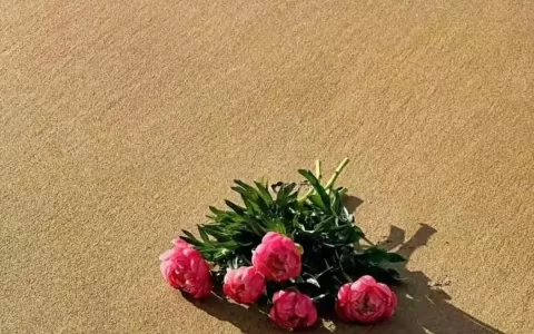 让你瞬间眼红的文案