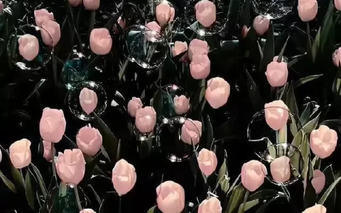 文案｜暗示在等一个人的文案