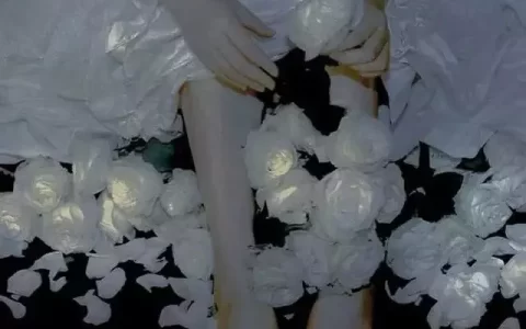 评论区杀疯了的emo文案