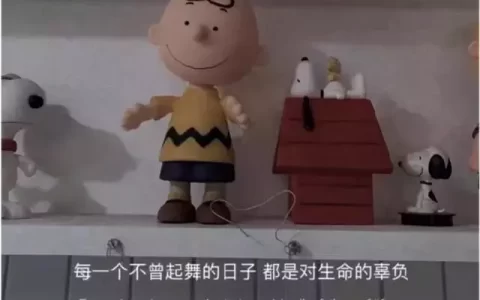 文案:你放不下的不是那个人,而是你的执念