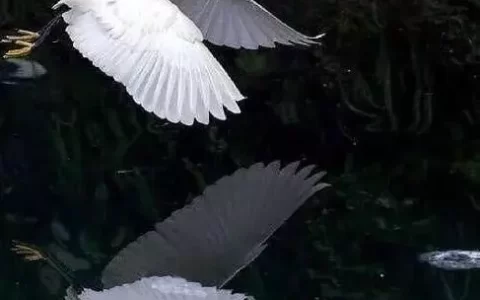 一眼就惊艳到你的文案短句