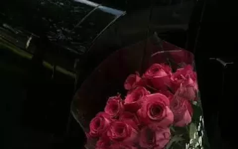 20句治愈心灵的人生感悟文案