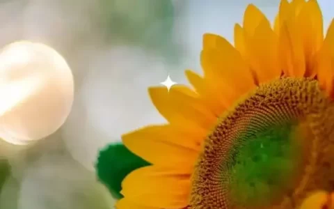 早安文案 | 路在脚下，你只管向前