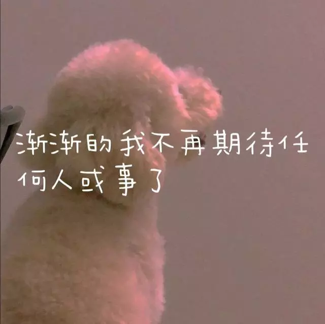 伤感背景文案丨你说过你要保护我的