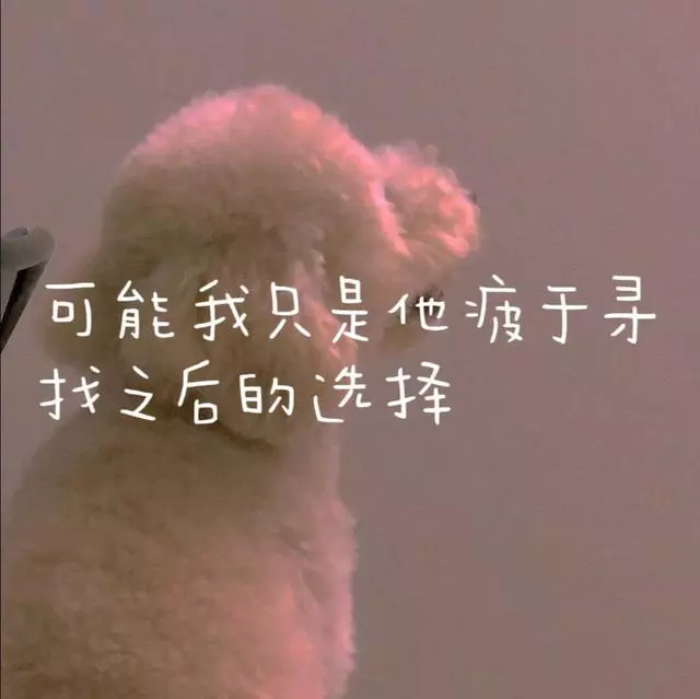 伤感背景文案丨你说过你要保护我的