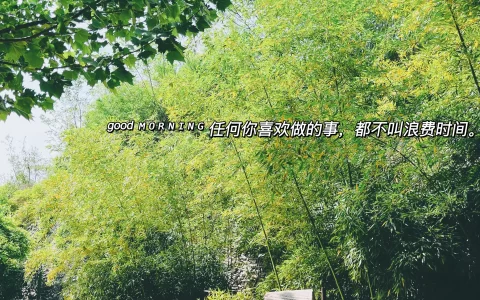 分享10句早安文案