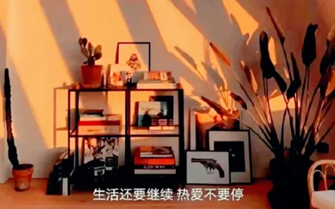 抖音文案|真正的强大不是对抗，而是允许一切发生