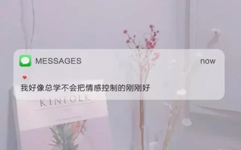 情绪文案｜是不是只有遗憾才会让人念念不忘