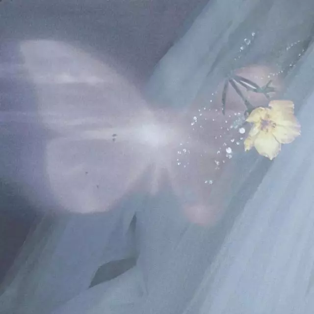 皮且可爱的日常朋友圈文案