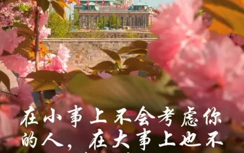 爆火文案丨在小事上不考虑你的人，大事上也不会选择你