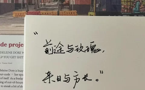 温柔治愈文案｜花会沿途盛开，你未来的路也是