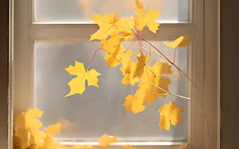 现实又扎心的文案