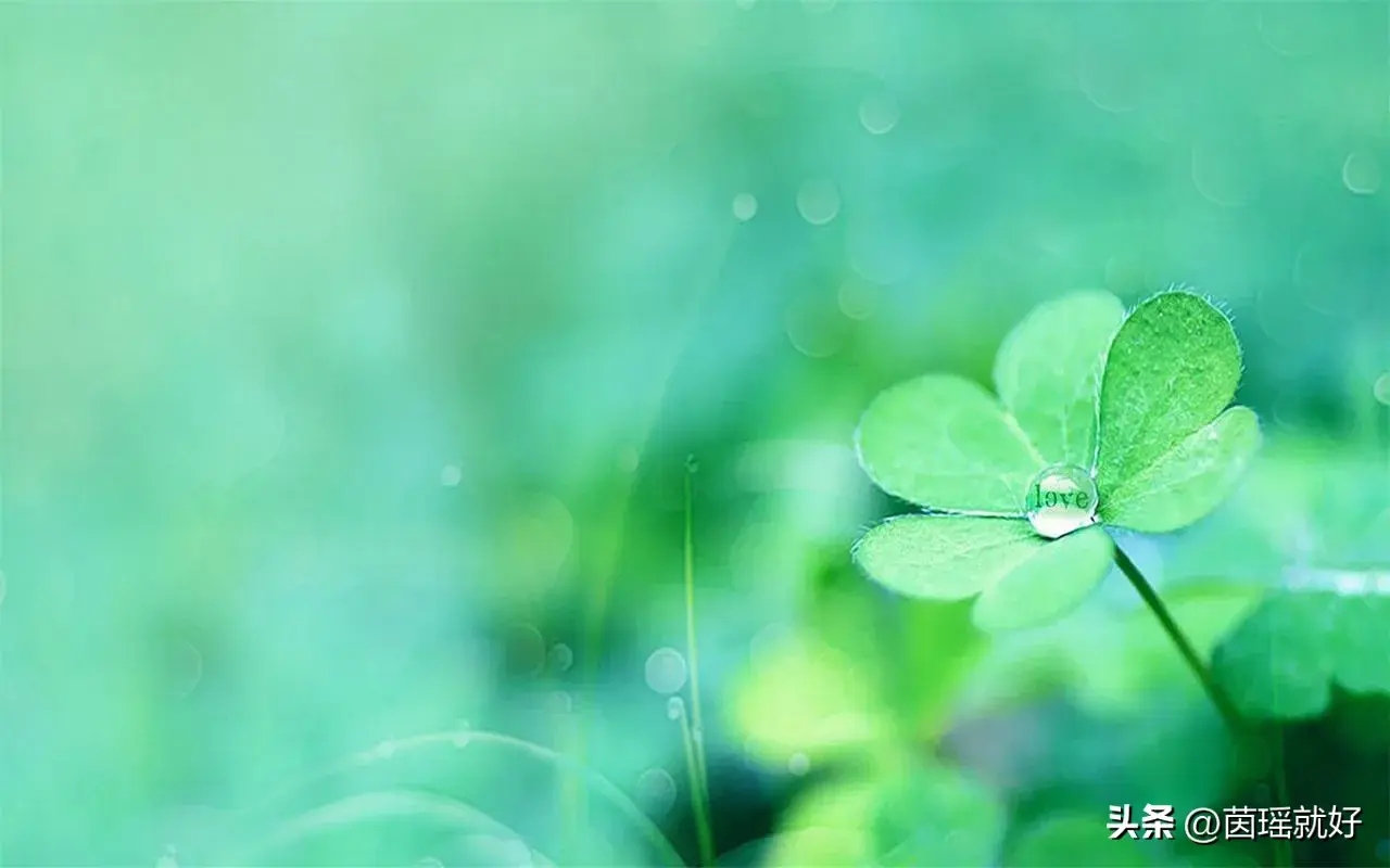 文案|够你发一辈子的朋友圈文案