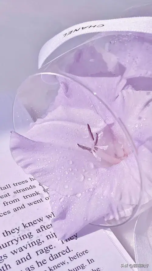 文案|够你发一辈子的朋友圈文案