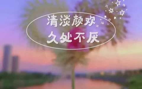 今日文案｜你会心动的干净治愈无风格文案