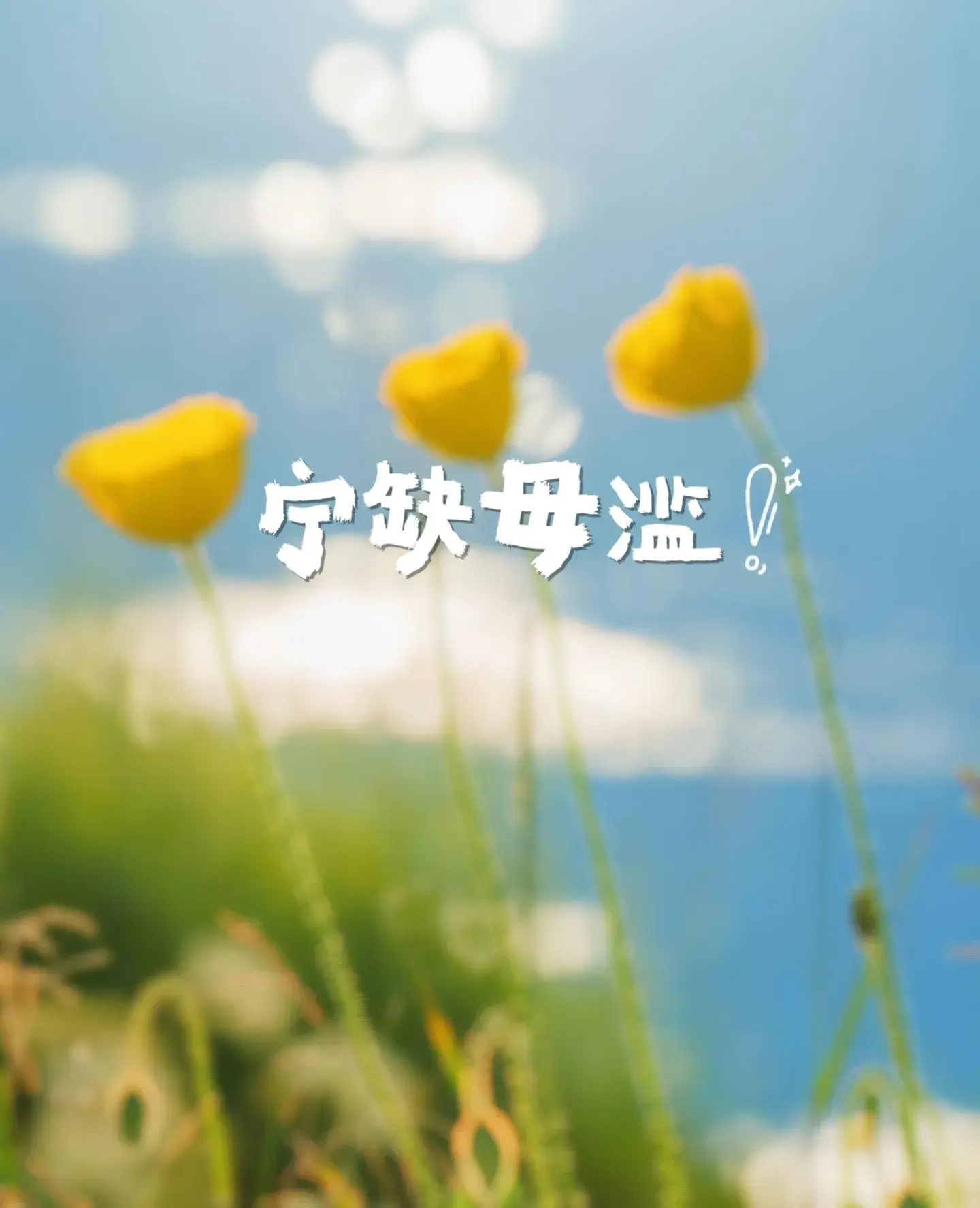 今日文案｜你会心动的干净治愈无风格文案