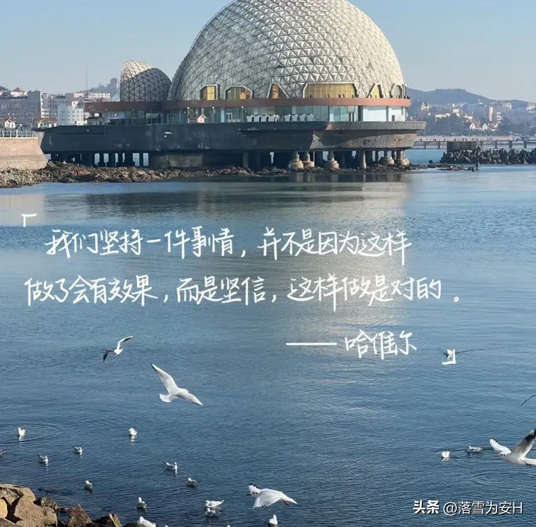 情绪文案：“深深的话我们浅浅的说，未来的长路我们再一起走”