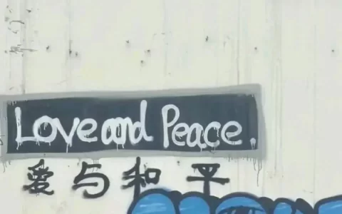 今日文案|小众高级，不烂大街的撩人情话