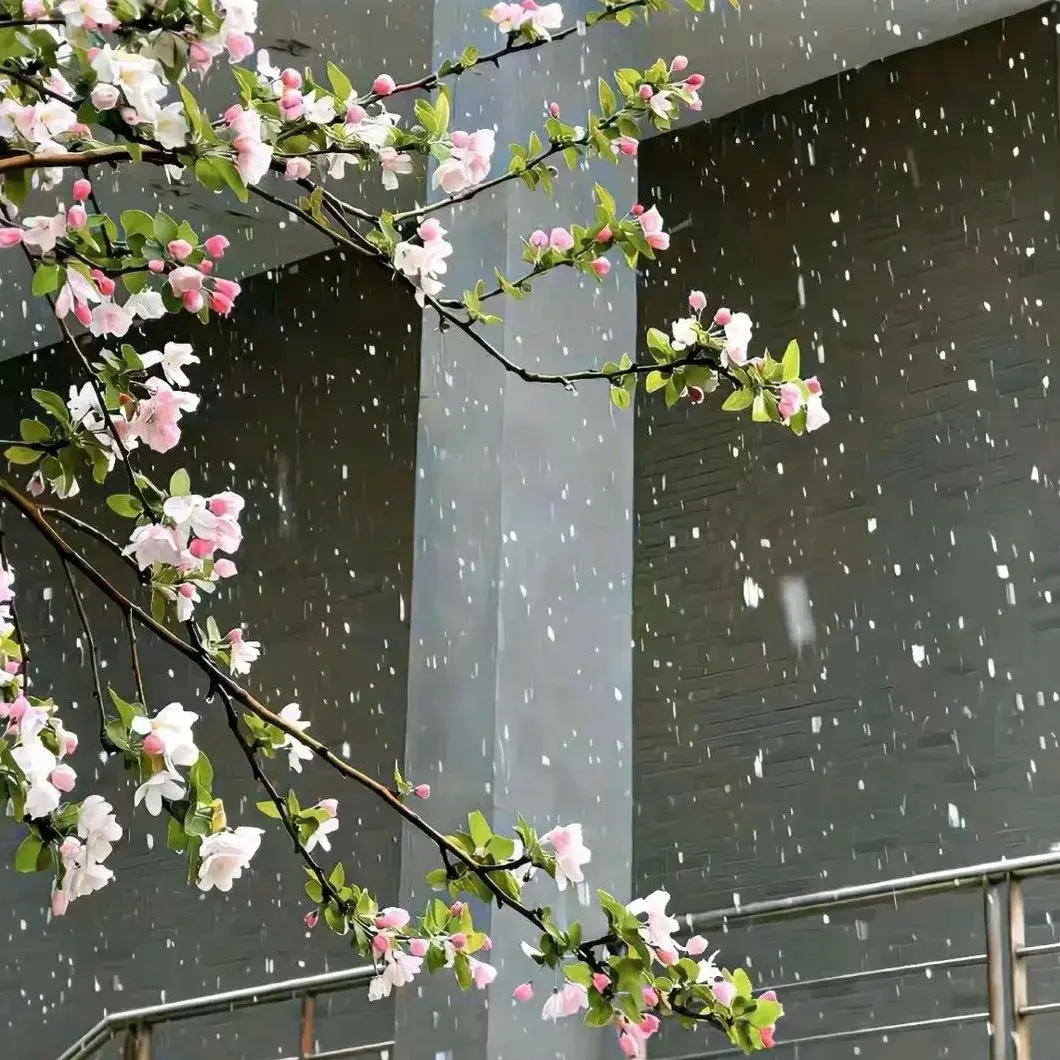 今日文案|小众高级，不烂大街的撩人情话