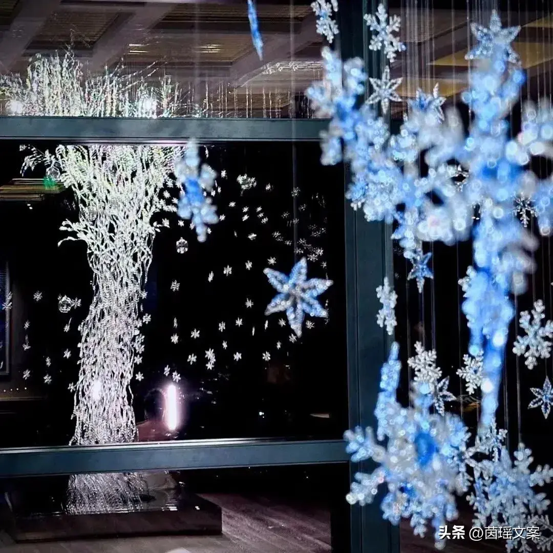 文案‖人间清醒的洒脱文案