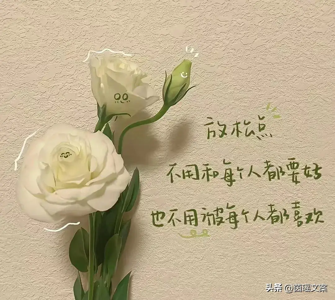 文案‖人间清醒的洒脱文案