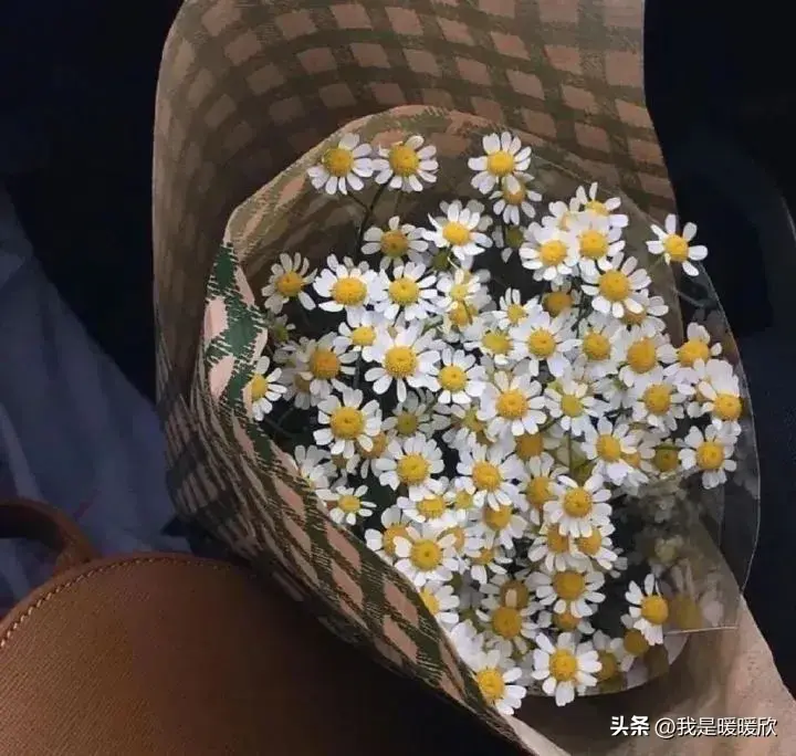 30句简短而有深意高质量文案