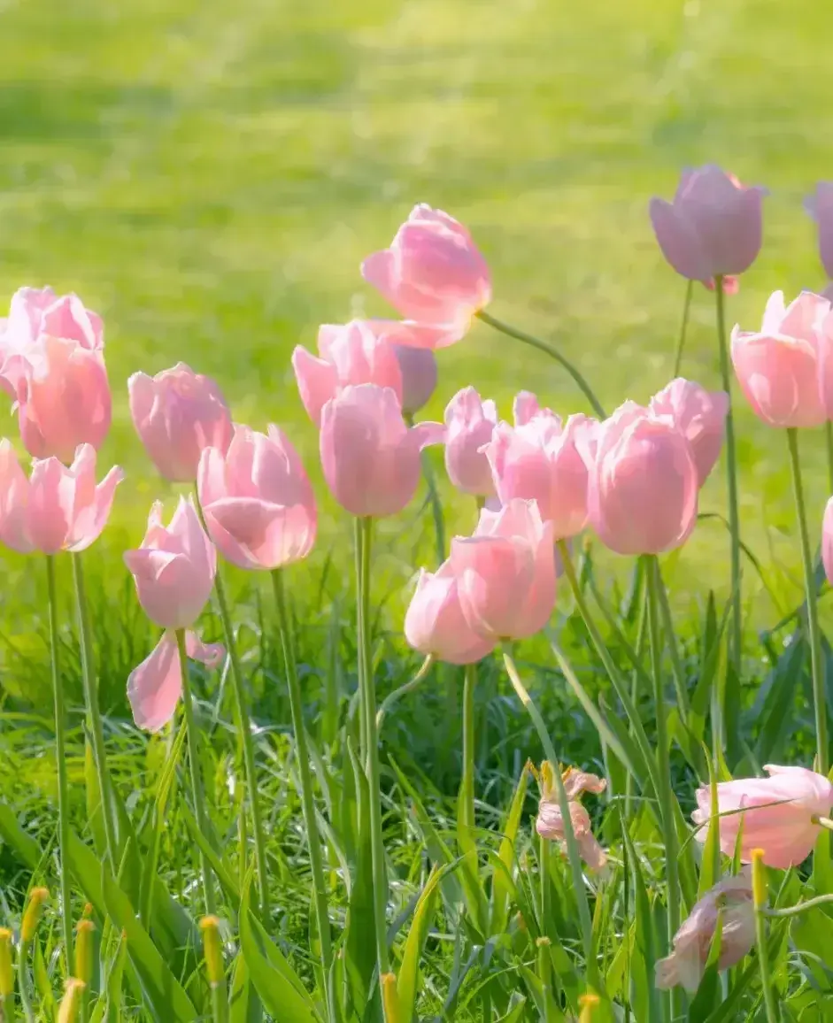 文案｜惊艳很久的温柔文案，拯救焦虑