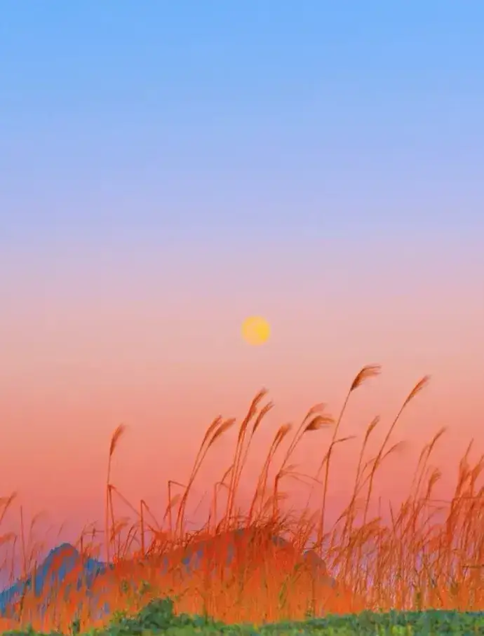 文案｜惊艳很久的温柔文案，拯救焦虑