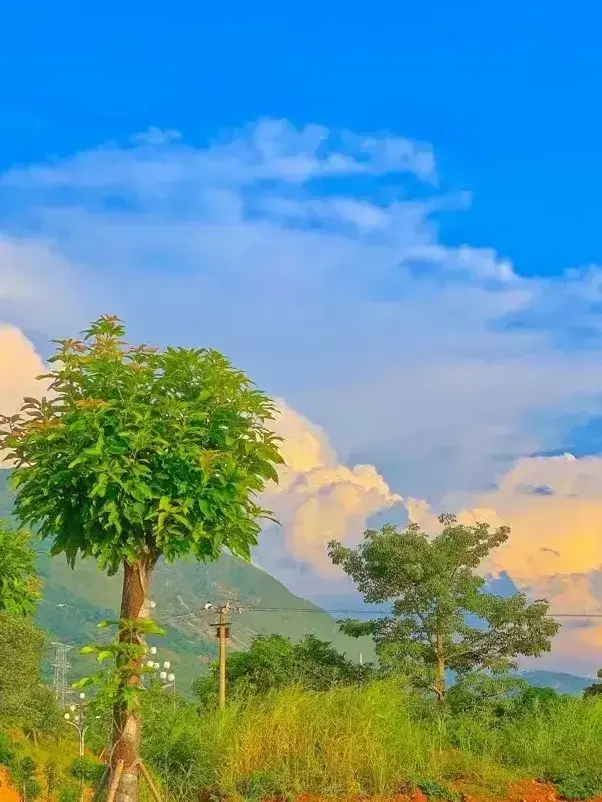 文案｜惊艳很久的温柔文案，拯救焦虑