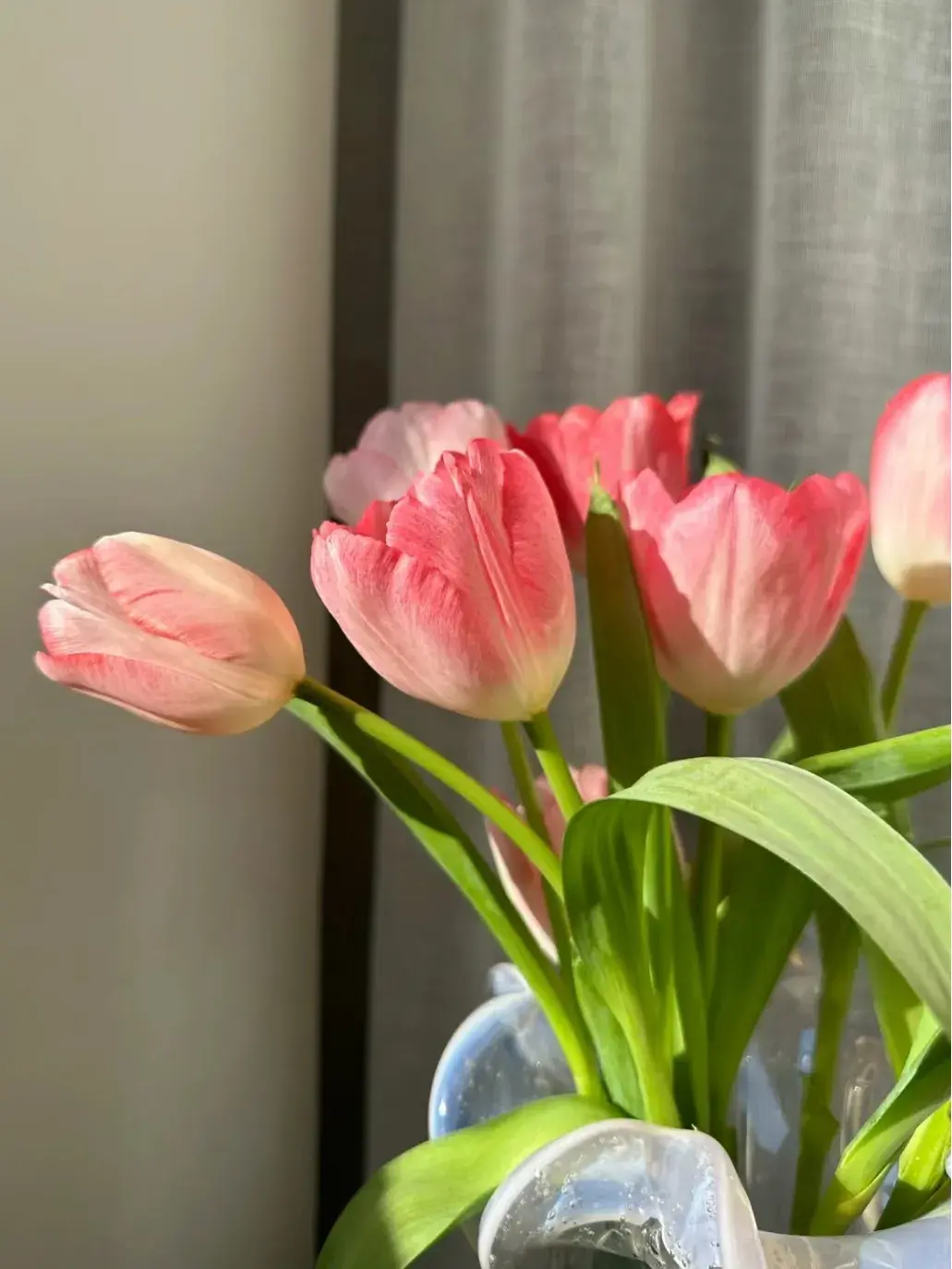 治愈文案｜我抓住了光，铺在理想的路上