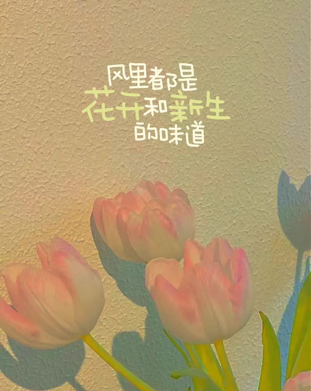 文案｜三观很正，又很温柔的文案