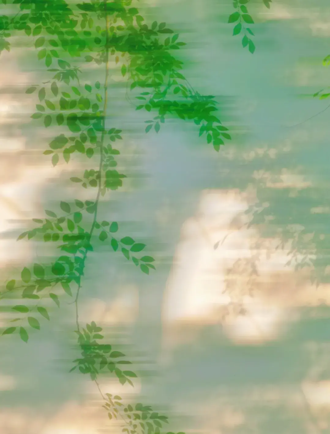 文案｜三观很正，又很温柔的文案