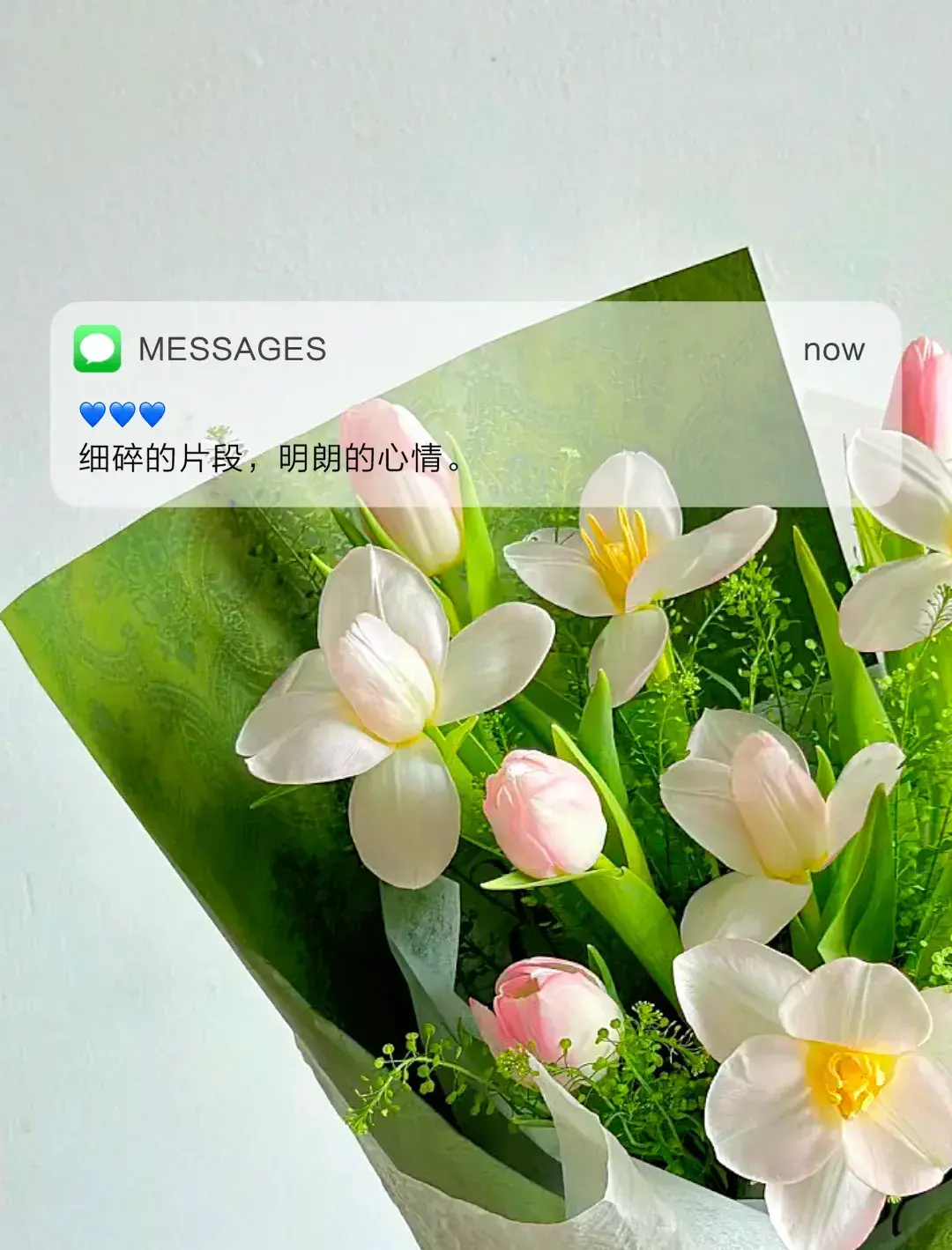 文案｜是一些很温柔又很有力量的句子，干净治愈