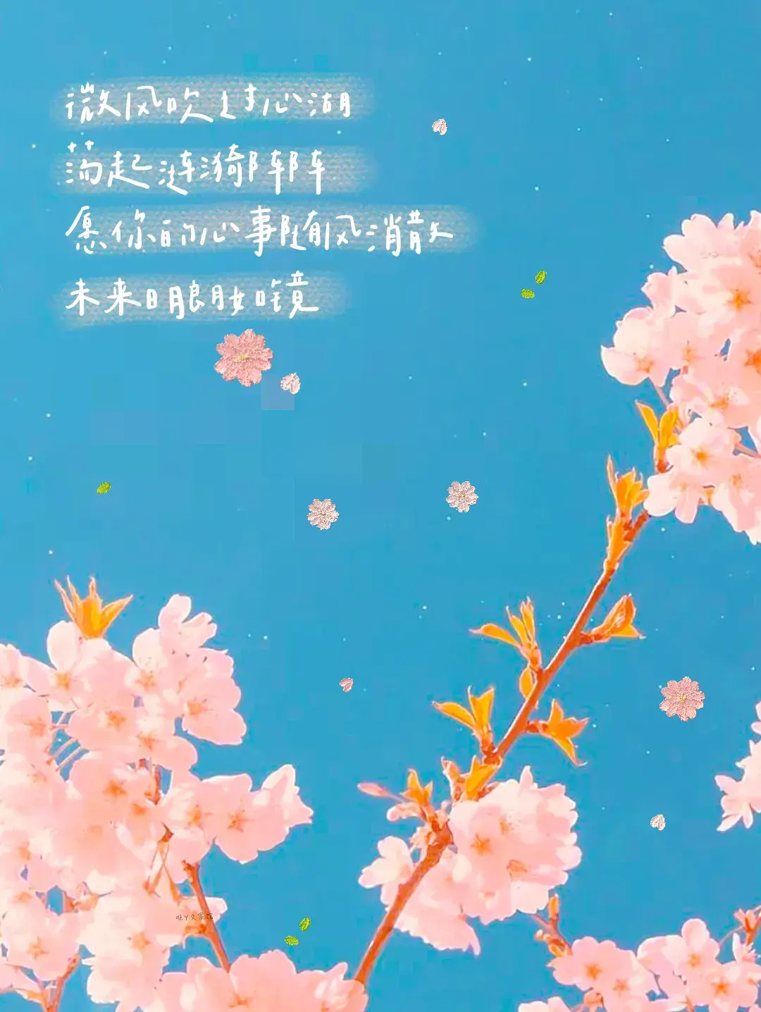 文案｜是一些很温柔又很有力量的句子，干净治愈