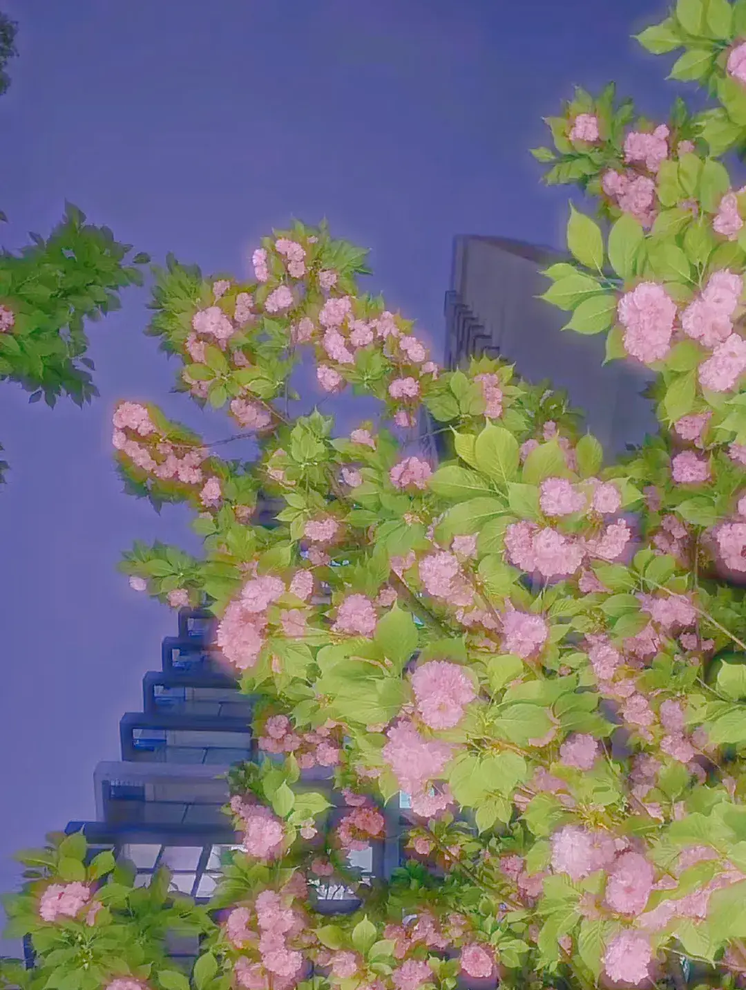 文案｜是一些很温柔又很有力量的句子，干净治愈