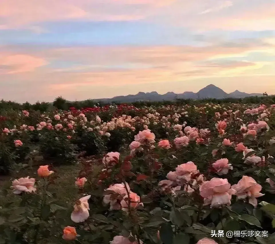 比水还干净的文案短句