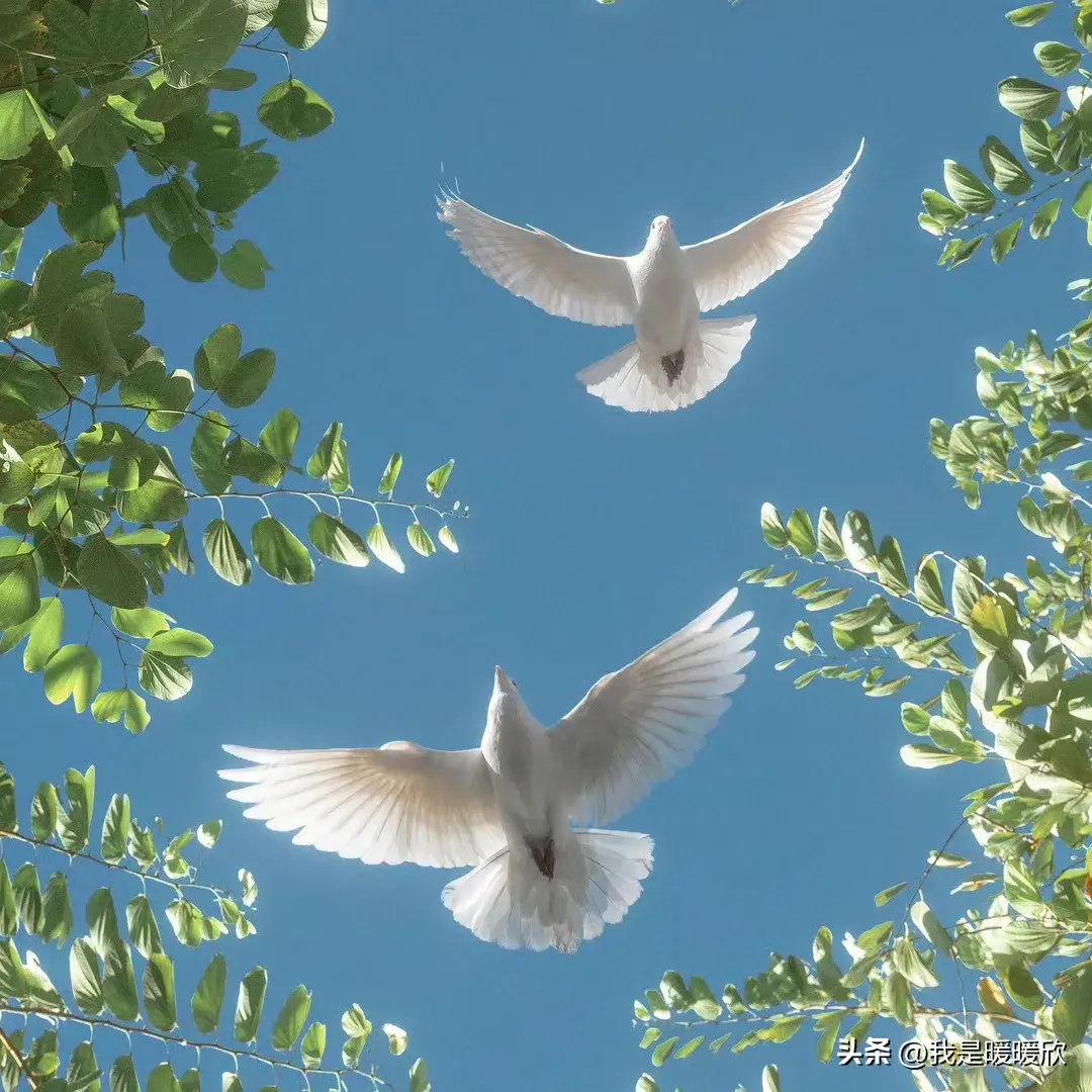 自我治愈励志文案