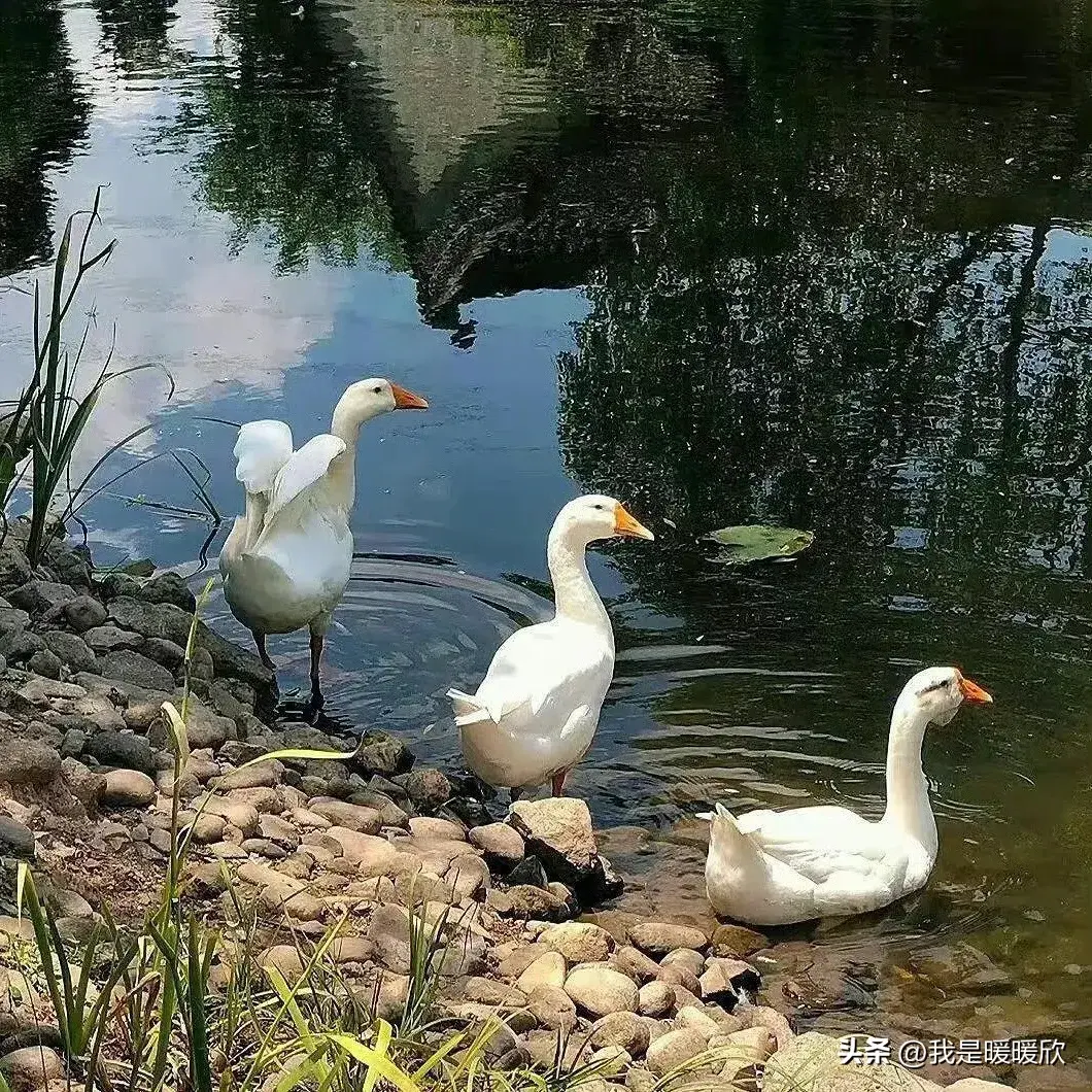 自我治愈励志文案