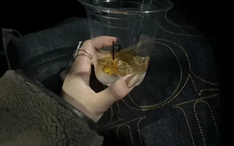 意难平文案｜不做数的承诺，我捡起来听了又听