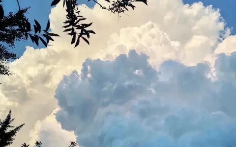 文案‖励志又鼓励自己的句子