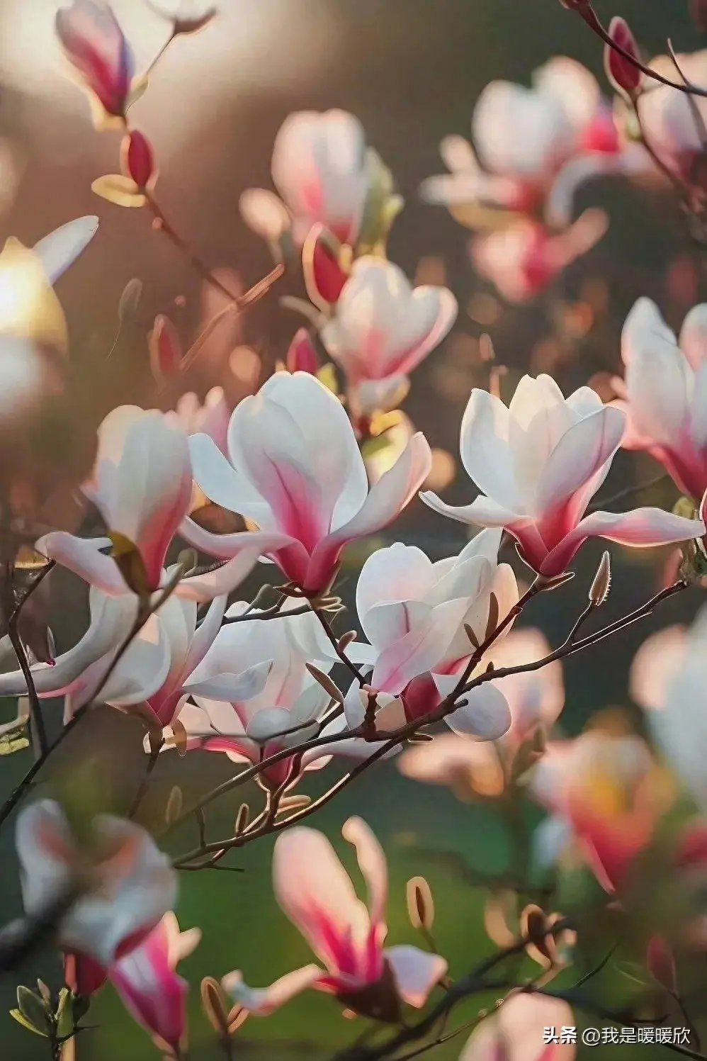 2024年积极向上文案短句