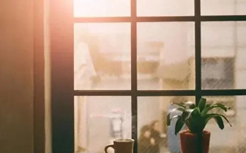 文案｜短句干净且温柔