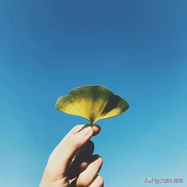 文案｜短句干净且温柔