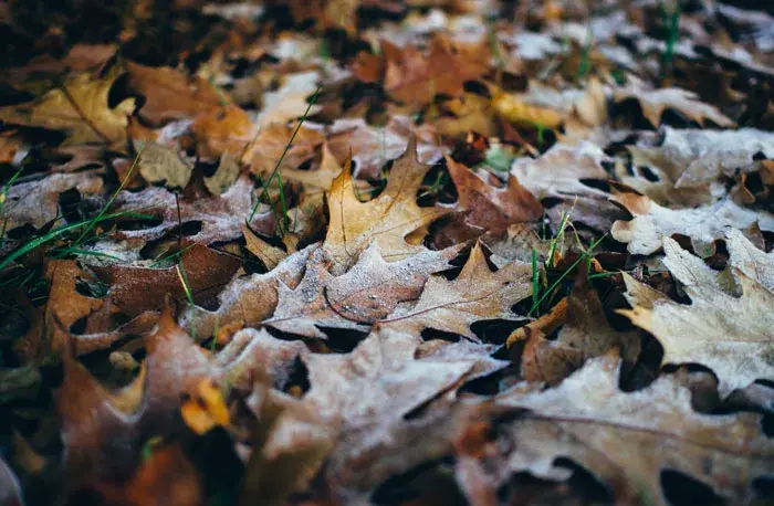 一些戳心窝子的文案