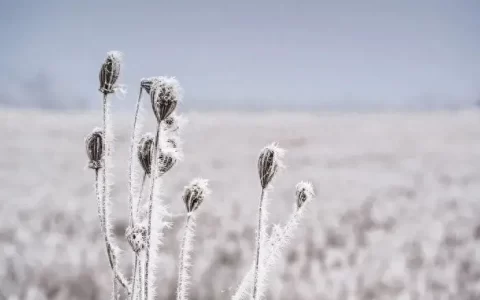 一些戳心窝子的文案