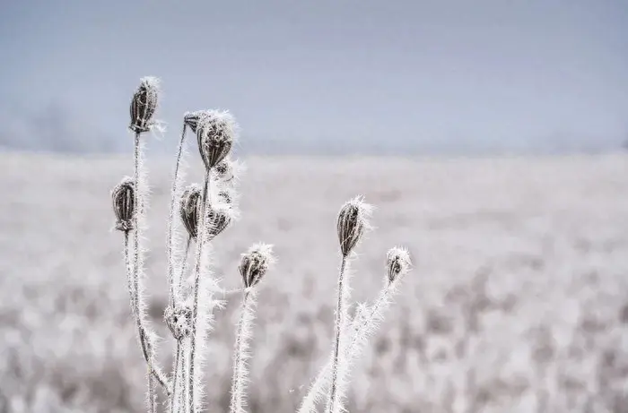 一些戳心窝子的文案